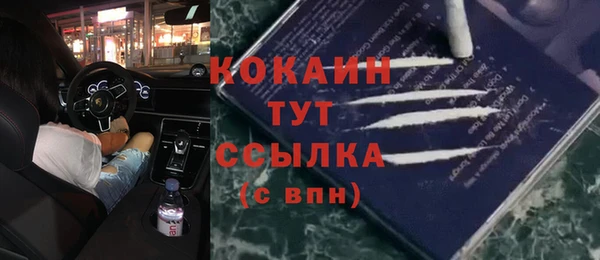 стафф Гусь-Хрустальный