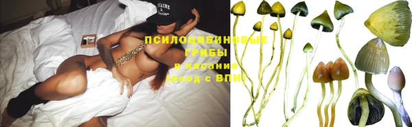 2c-b Гусев