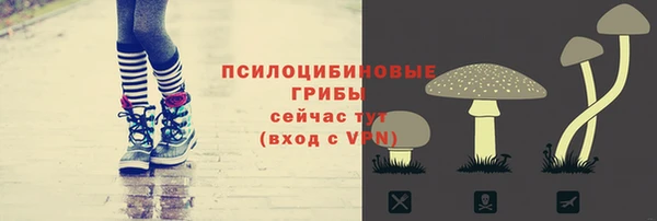 стафф Гусь-Хрустальный