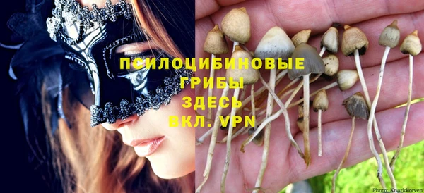 стафф Гусь-Хрустальный