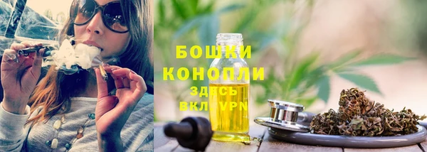 стафф Гусь-Хрустальный